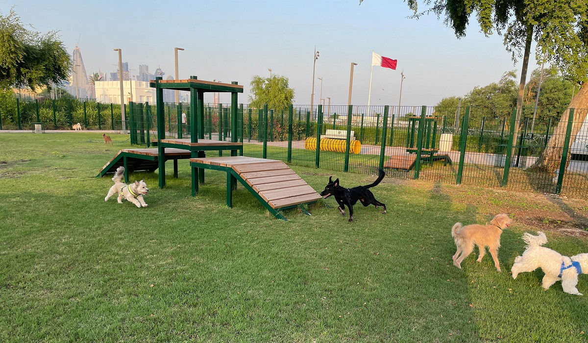 Qatar opens doors to first pet-friendly park 